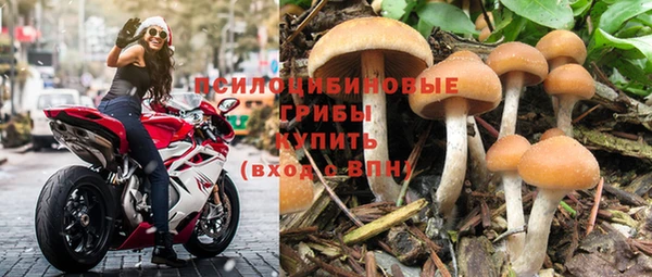 прущий лед Кодинск